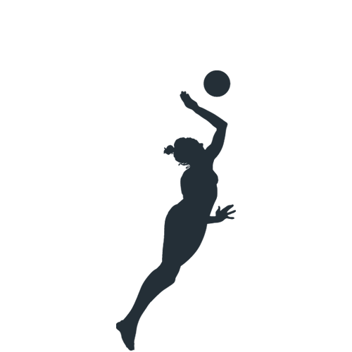 Volleyball court icon